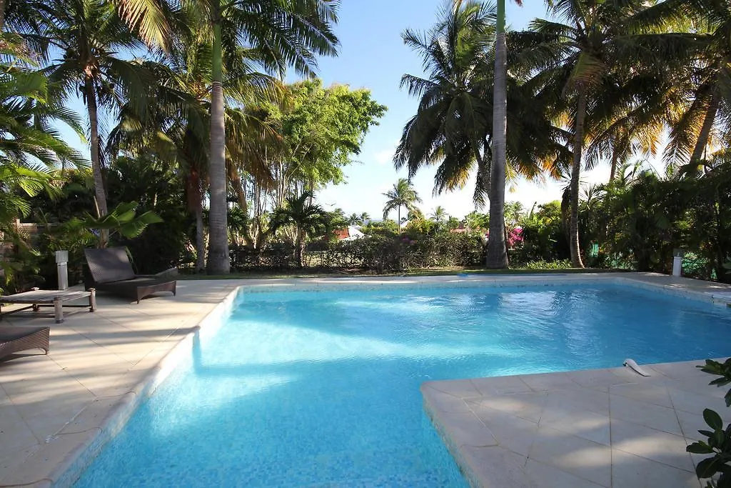 Villas Coco - Caraibes - Les Palmiers -Hamak