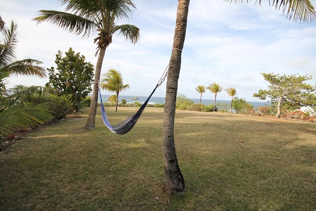 Villas Coco - Caraibes - Les Palmiers -Hamak