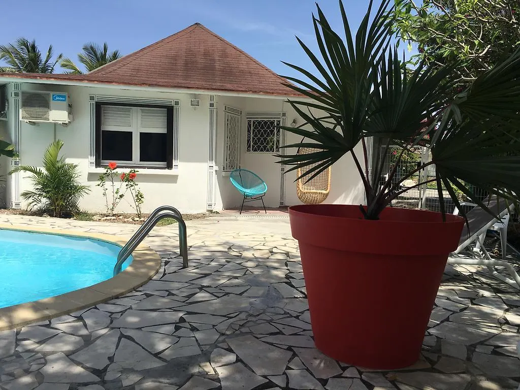 Villas Coco - Caraibes - Les Palmiers -Hamak