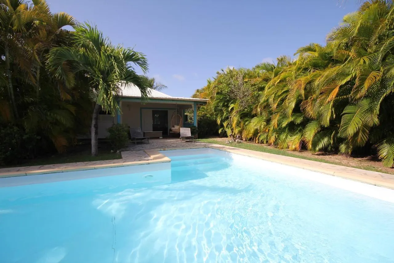 Villas Coco - Caraibes - Les Palmiers -Hamak